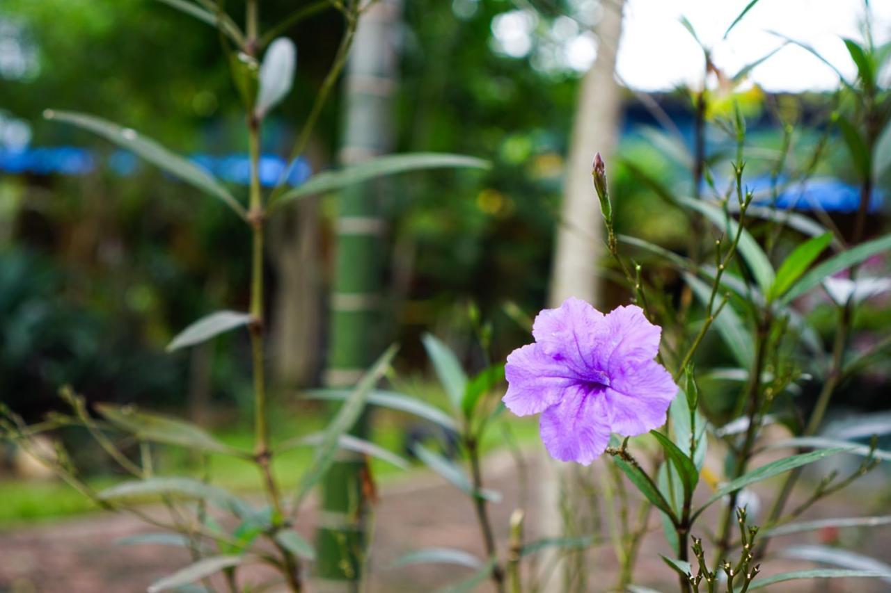 Smiley Frog Apartment Kanchanaburi City Exterior photo